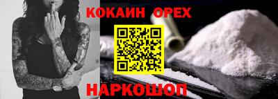 дмт Кингисепп