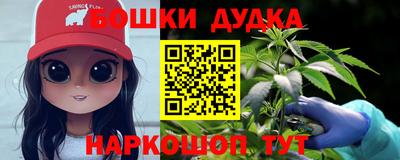 дмт Кингисепп
