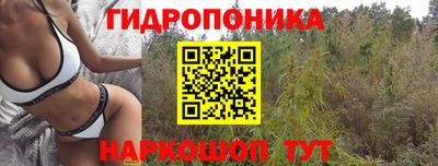 прущие крисы Кимры