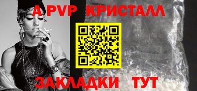 дмт Кингисепп