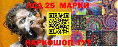 дмт Кингисепп