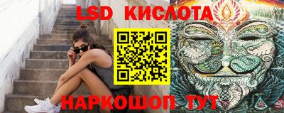 дмт Кингисепп