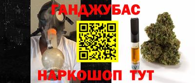 дмт Кингисепп
