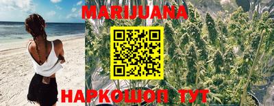 гидра Комсомольск-на-Амуре