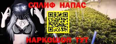 прущие крисы Кимры