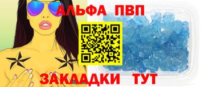 дмт Кингисепп