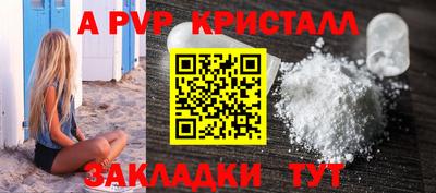дмт Кингисепп