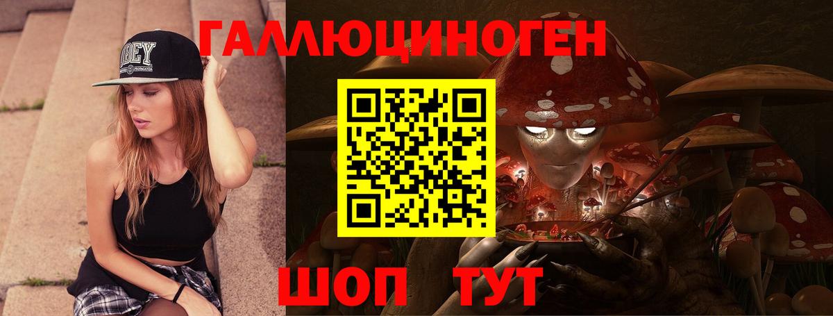 Псилоцибиновые грибы Cubensis Кострома